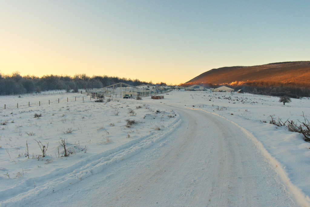 Les réfugiés, les squats et les millions de l'UE