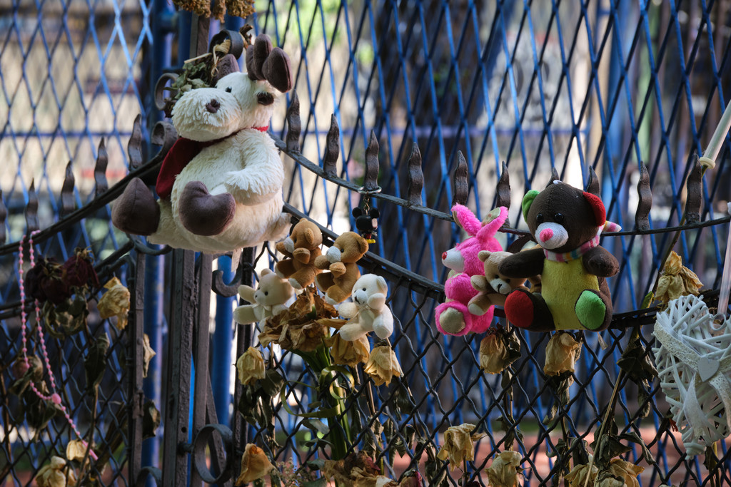 Serbie : colère et désarmement après les fusillades